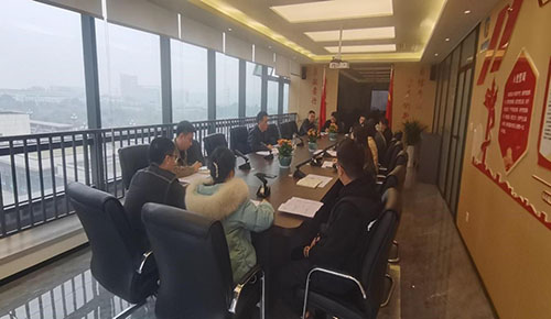 高发展集团召开重点项目推进工作会