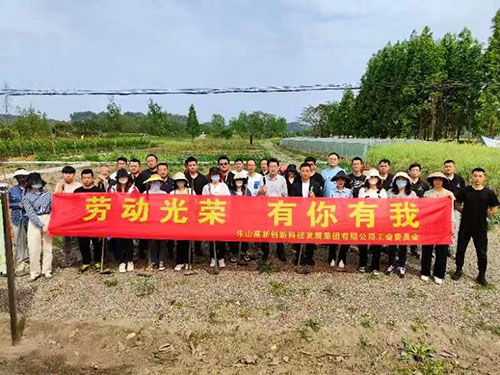 高发展工会开展“劳动光荣 有你有我” 农场体验活动