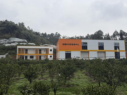 竣工验收！乐山高新区乡村振兴示范项目（一期）为区域乡村振兴注入新活力